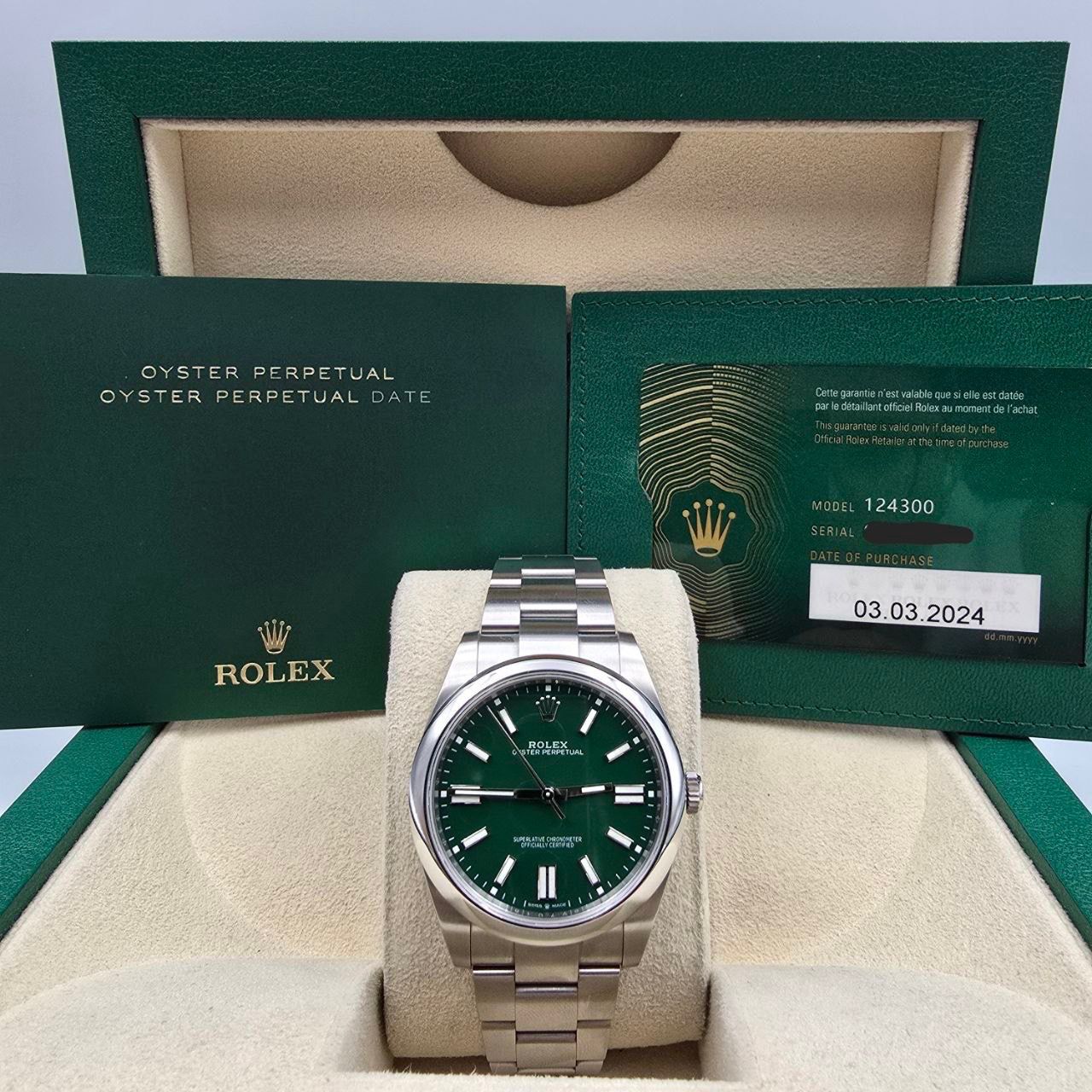 Rolex Oyster Perpetual 41 2024 FULL SET 41mm Green Steel 124300