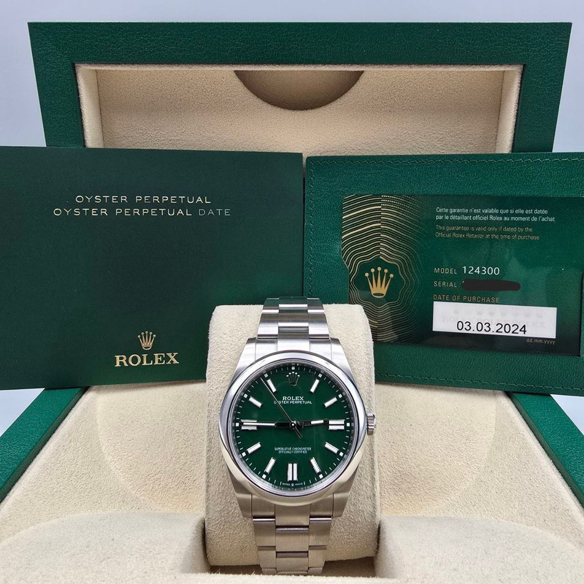 Rolex Oyster Perpetual 41 2024 FULL SET 41mm Green Steel 124300