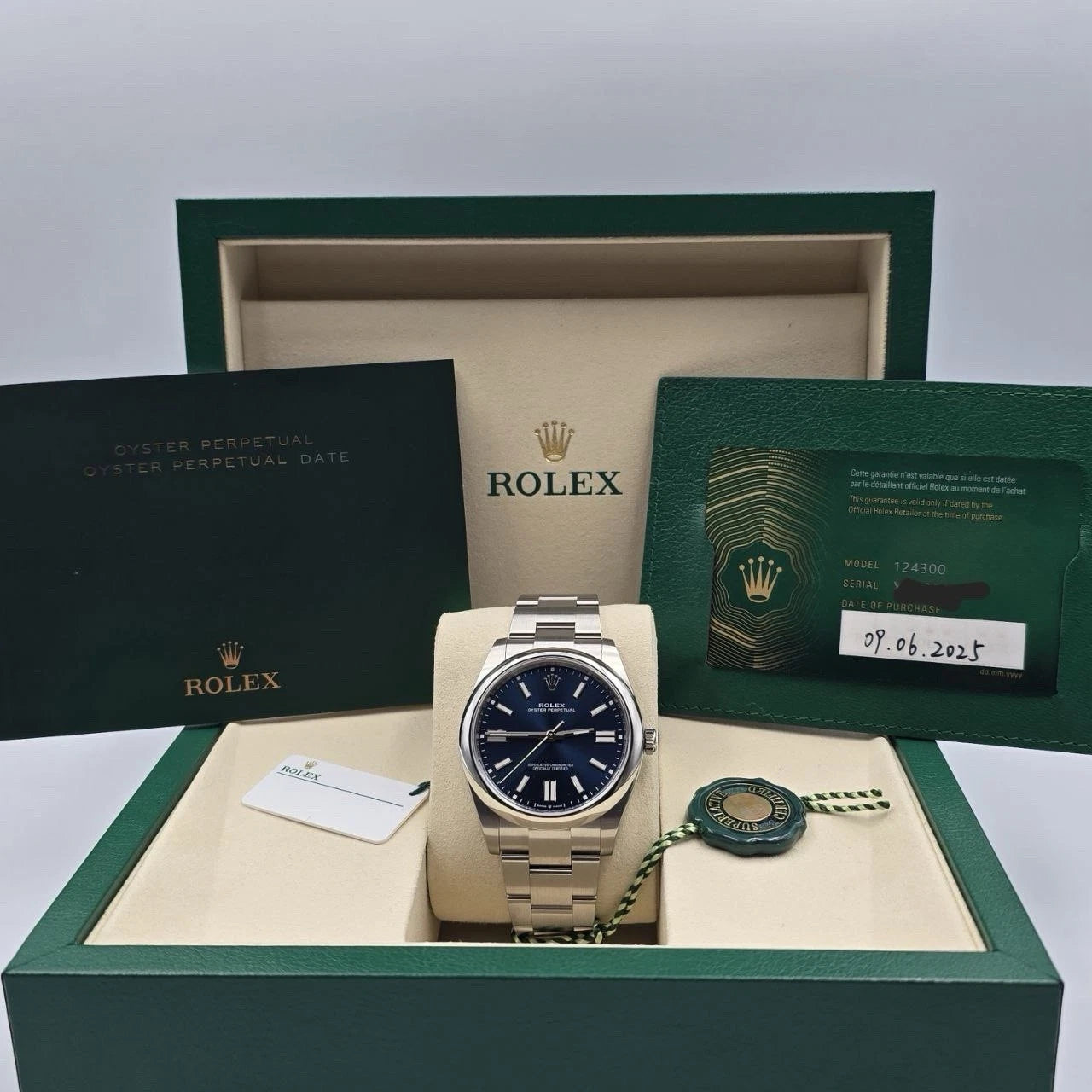 NEW 2025 PAPERS Rolex Blue Oyster Perpetual Steel 41mm Watch BOX 124300 UNWORN