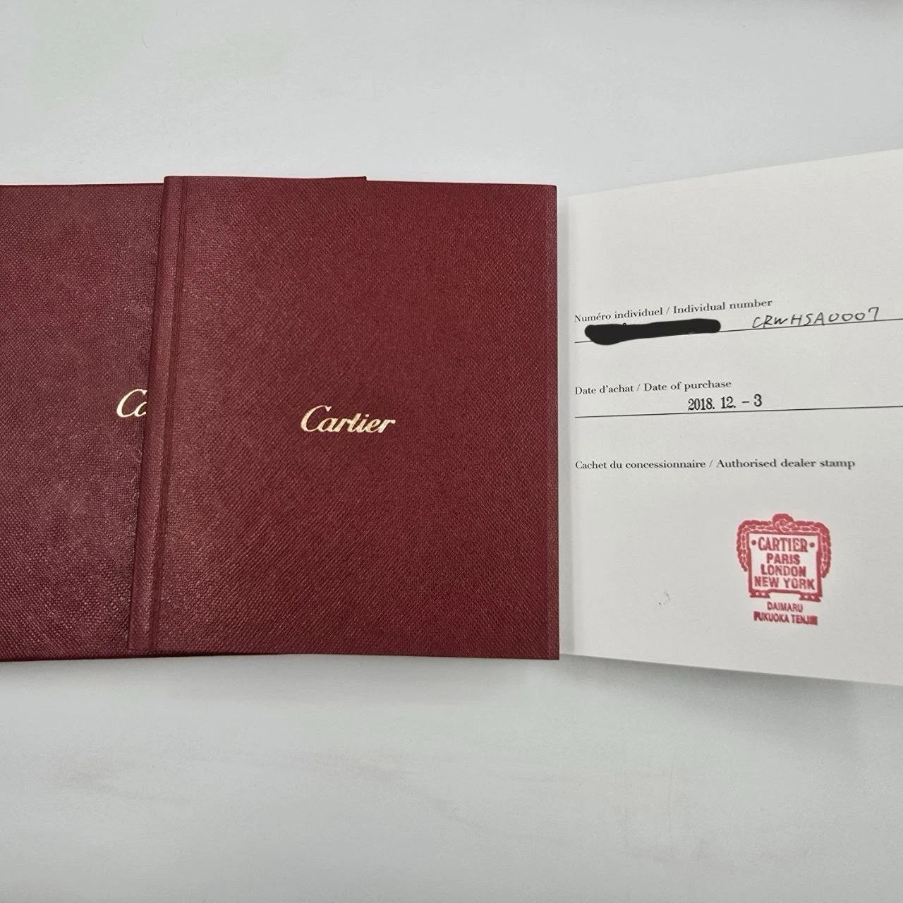 Cartier Santos WHSA0007 3