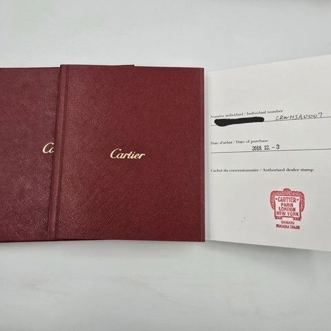 Cartier Santos WHSA0007 3